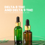 A Beginner's Guide to Delta 8 THC vs Delta 9 THC: Which Is Right for You?