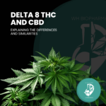 Delta-8 THC vs. CBD: Comparing and Contrasting the Effects and Benefits