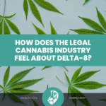 From Support to Skepticism: The Shifting Attitudes of the Legal Cannabis Industry towards Delta-8 THC