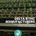 Regulatory Uncertainty and FUD Campaigns Cast a Shadow Over Delta 8 THC Manufacturers