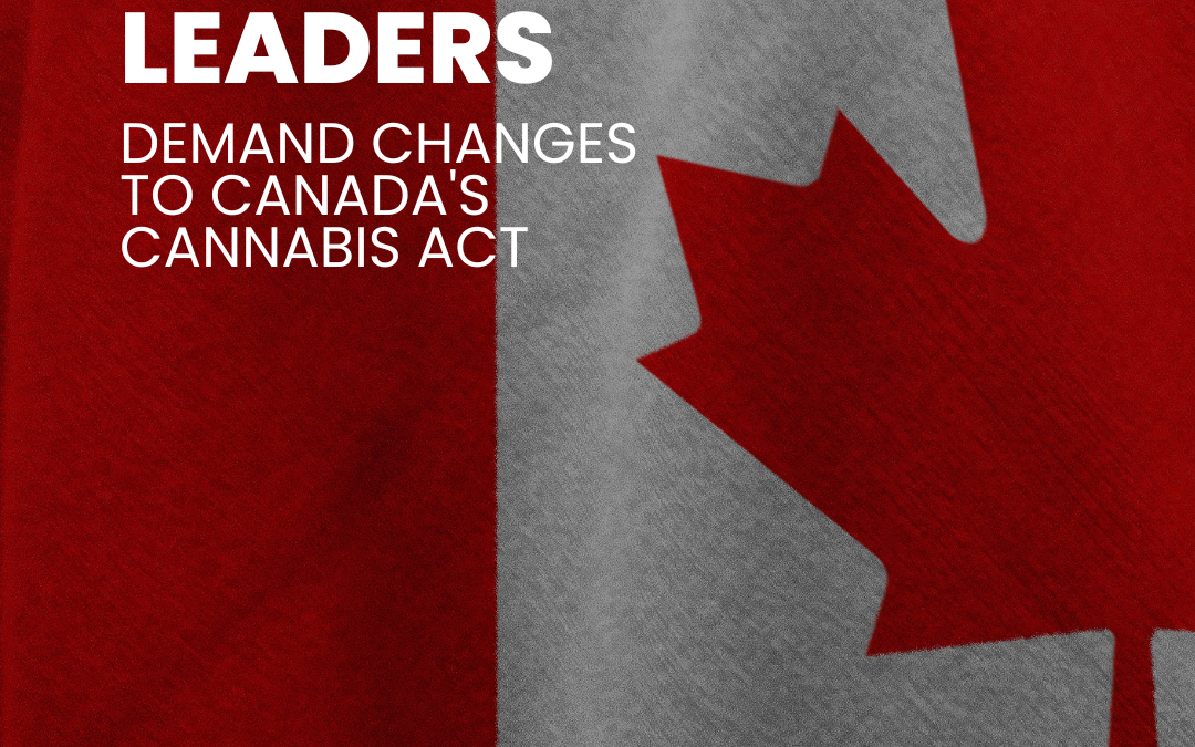 Calls for Changes to Canada's Cannabis Act Grow Stronger Among Indigenous Leaders