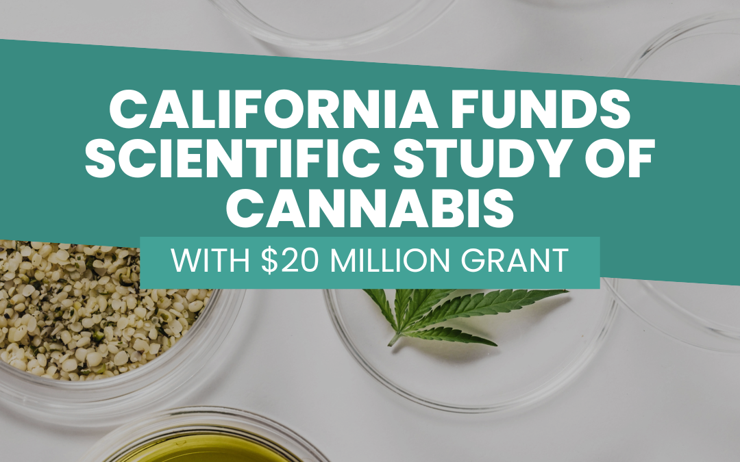 California Invests $20 Million in Cannabis Research