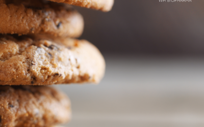 Creating Crave-Worthy Keto Snacks: A Comprehensive Guide to Manufacturing Nutritious Delights