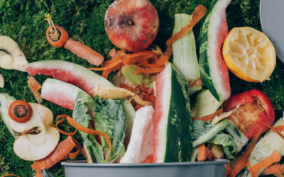 How Food Manufacturers Can Tackle Food Waste: Best Practices and Strategies