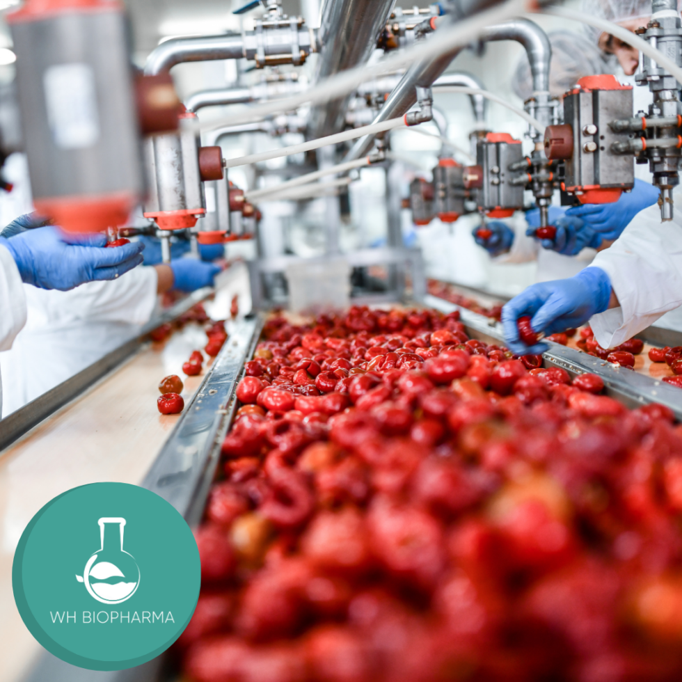 Food Processing vs. Food Manufacturing Key Differences Explained
