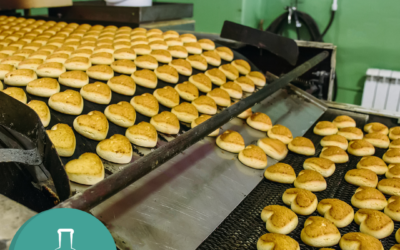 Food Processing vs. Food Manufacturing: Key Differences Explained